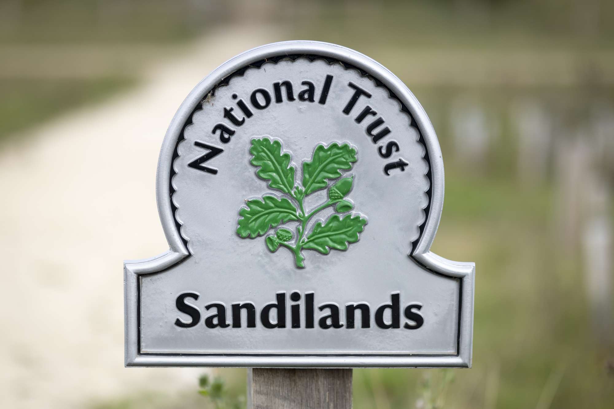 A hole in one for nature as former golf course transforms into a new haven for people and wildlife – Published by National Trust